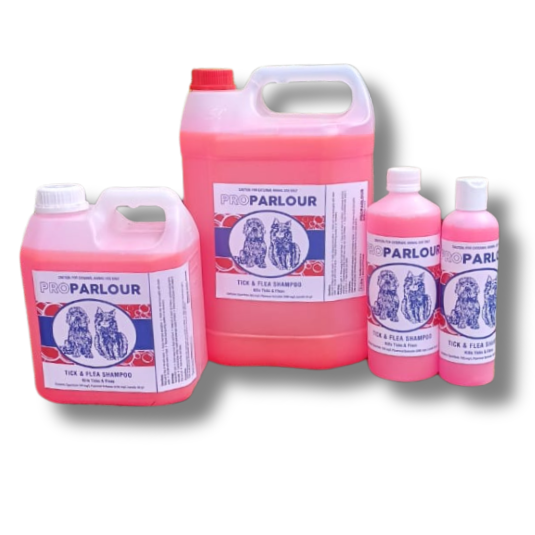 Tick & Flea Shampoo